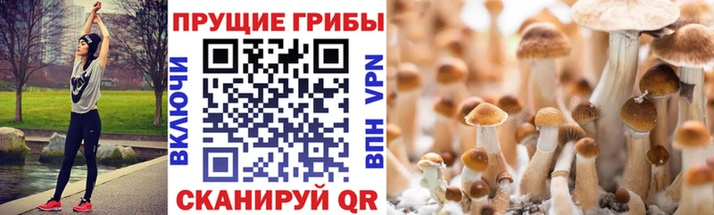 Псилоцибиновые грибы ЛСД  Купить где  Шахты 